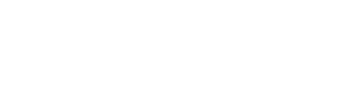 LE SNEAK QG
